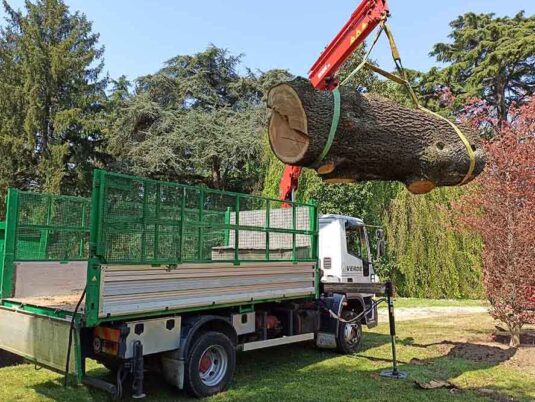 potatura alberi milano